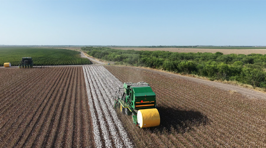 Cotton harvest is underway in South Texas!